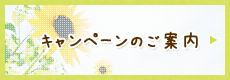 キャンペーンのご案内