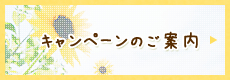 キャンペーンのご案内